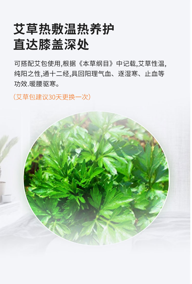 护膝_10.jpg