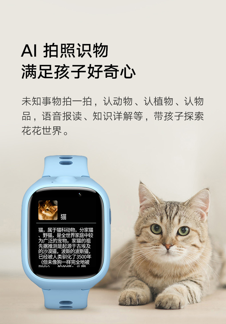 A8.jpg
