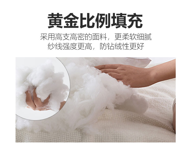 CK-JD007切图_06.jpg