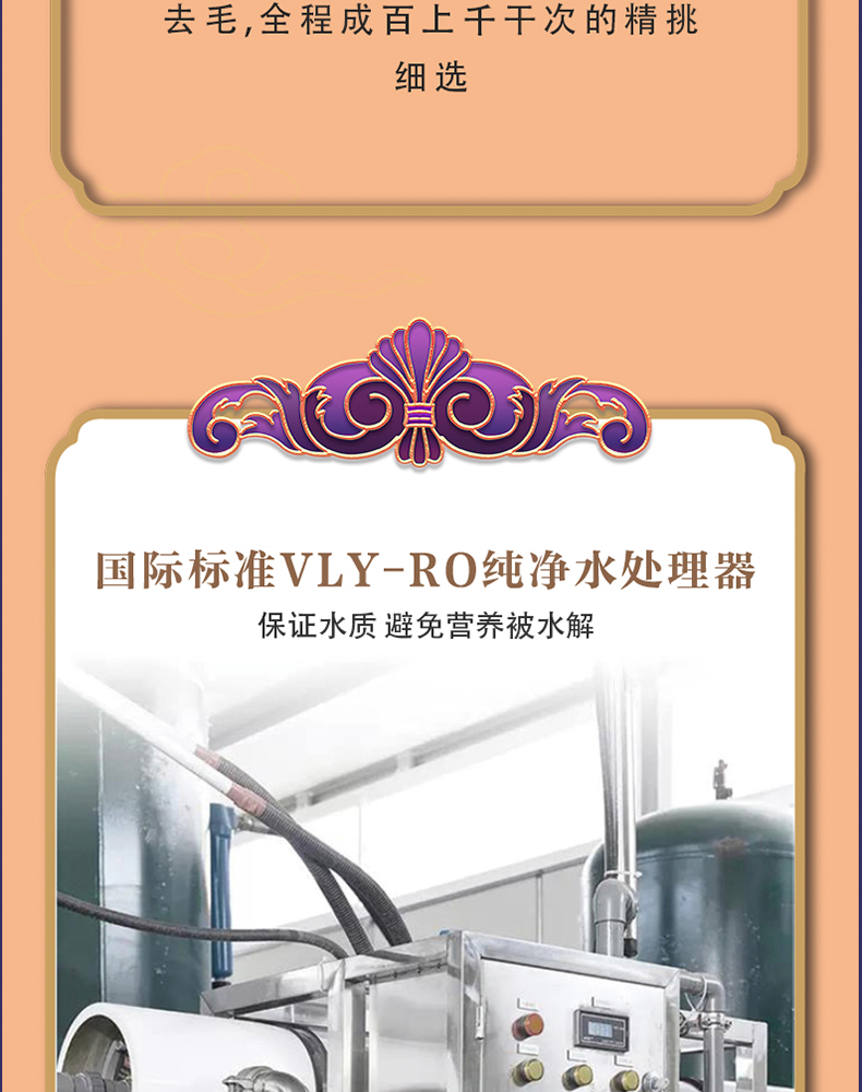 蝶翼精灵_06.jpg