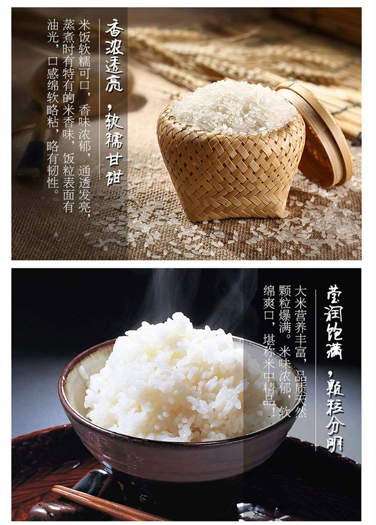 滋养米_03.jpg