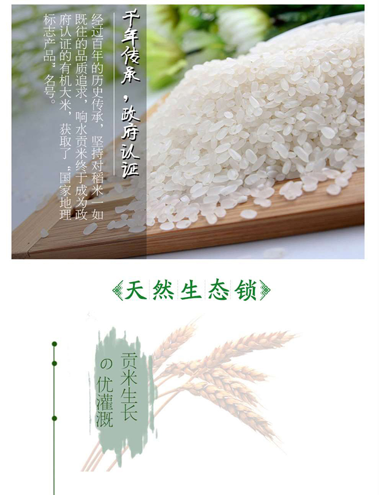 滋养米_04.jpg