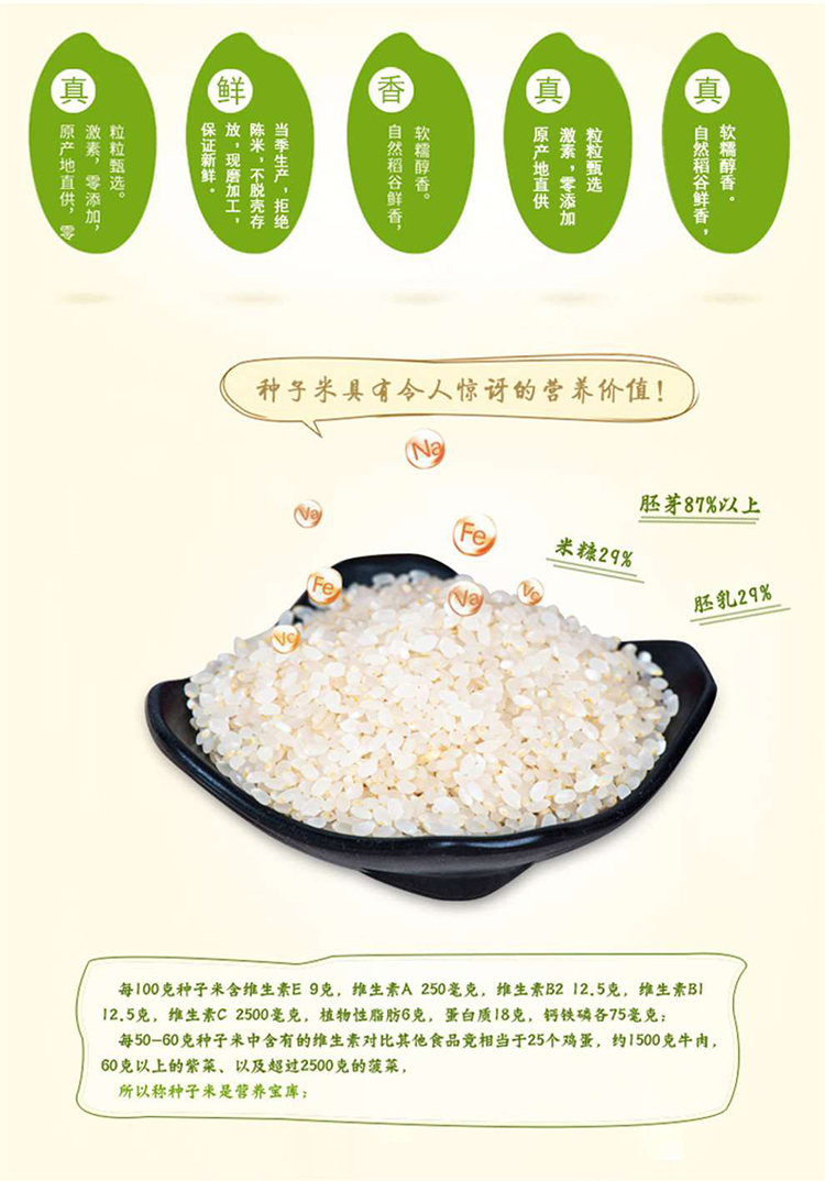 滋养米_06.jpg