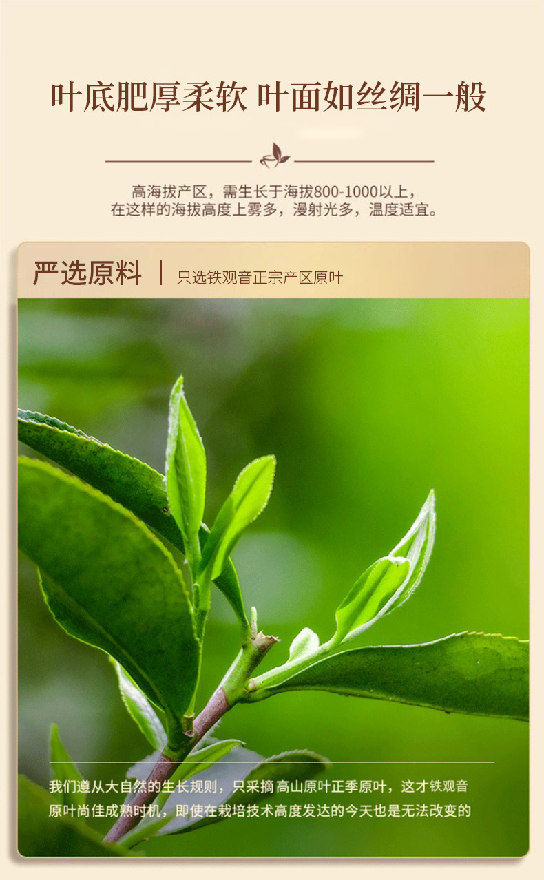 茶礼盒_03.jpg