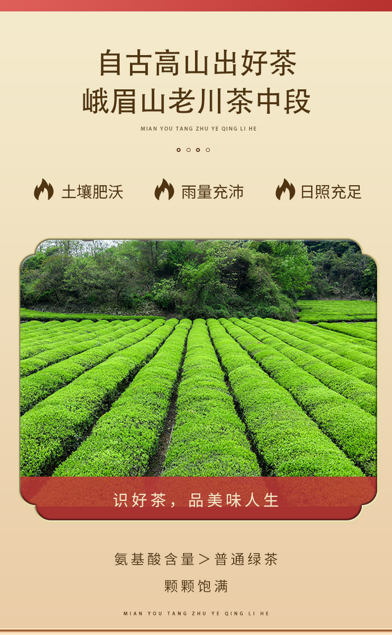 竹叶青详情页_05.jpg
