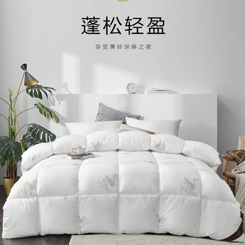 路易卡罗—纯棉羽丝绒被